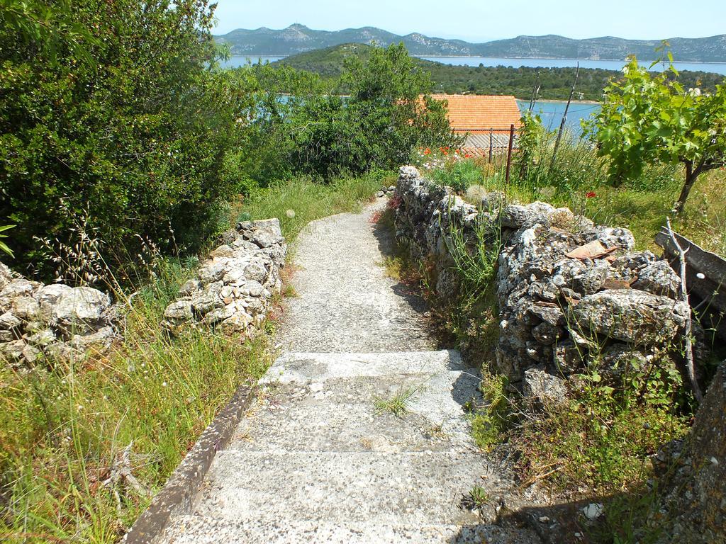 Villa Baroni Mali Iž Exteriér fotografie